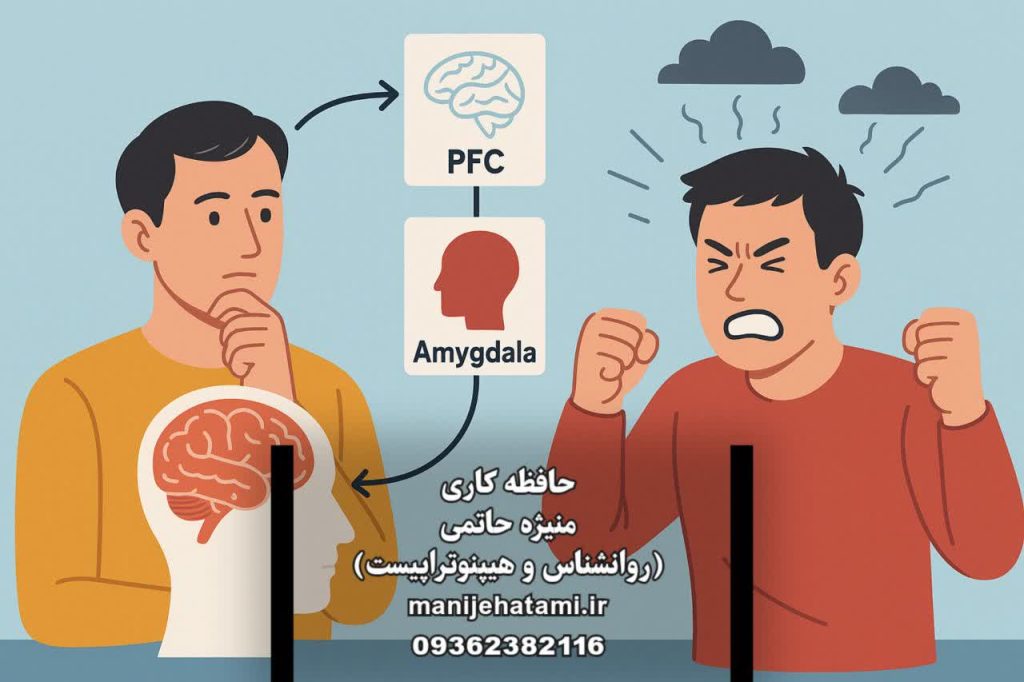 حافظه کاری، تنظیم هیجان، مهارت‌های شناختی، عملکرد اجرایی، تاب‌آوری هیجانی، افسردگی و اضطراب حافظه کاری