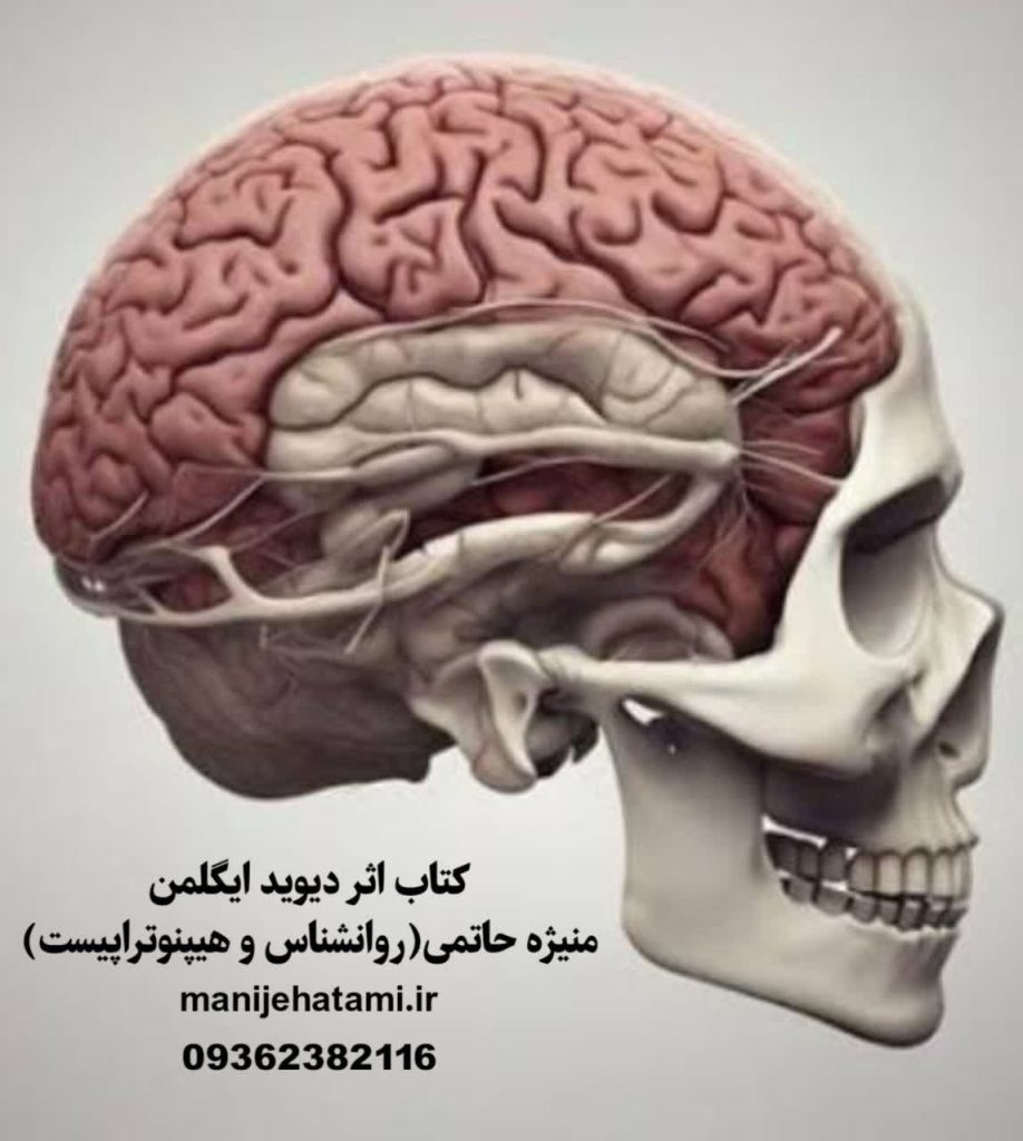 تقویت حافظه ،تمرکز ، مغز ، یادگیری ، قدرت مغز ،روانشناسی ، منیژه حاتمی ، بهترین روانشناس ، احساسات ، مغزت