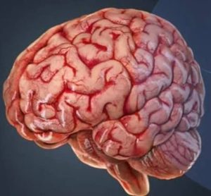 تقویت حافظه ،تمرکز ، مغز ، یادگیری ، قدرت مغز ،روانشناسی ، منیژه حاتمی ، بهترین روانشناس ، احساسات ، مغزت