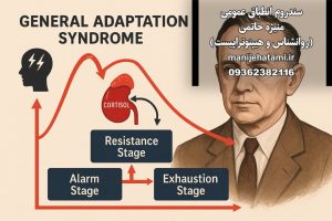 نشانه‌های فرسودگی ناشی از استرس ، هانس سلیه و کورتیزول ،تاثیر استرس بر بدن ، مراحل سندرم انطباق عمومی | GAS چیست؟ ،استرس مزمن چیست؟